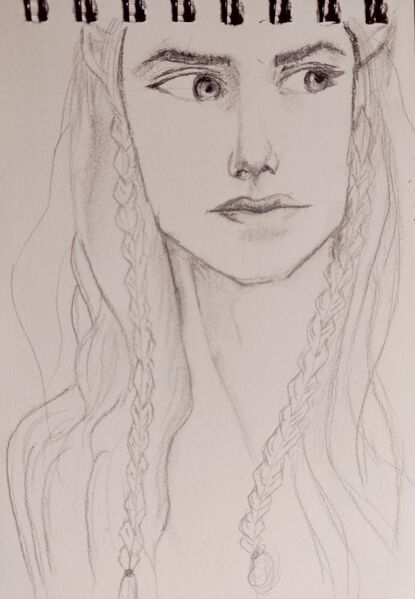 File:Fin Profil .jpg